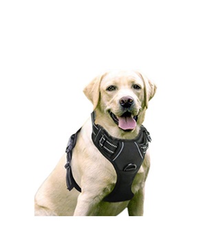 Adjustable-Outdoor-Pet-Vest 2