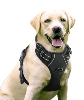 Adjustable Outdoor Pet Vest