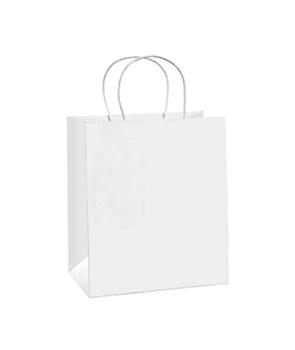 Paper Gift Bags