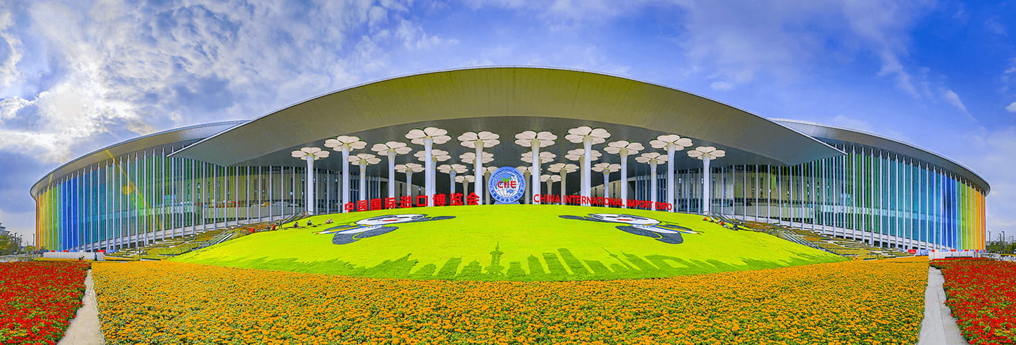 China International Import Expo-2